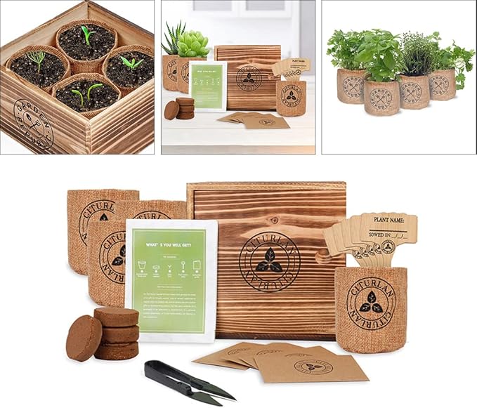 Herb Seed Growing Kit Herb Garden Starter Kit DIY Grow Indoor Garden Set for Home Plant Starters Balcony