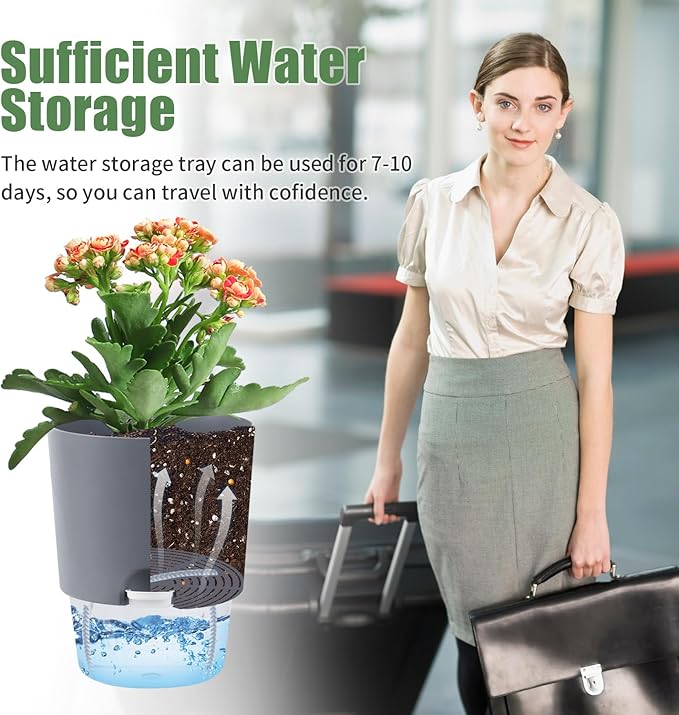 Oliz 6.3 Inch Self Watering Planter Pots for Indoor Plants, 3 Packs African Violet Pots with Wick Rope and Visible Reservoir Self Watering Planter for Herb, Houseplants