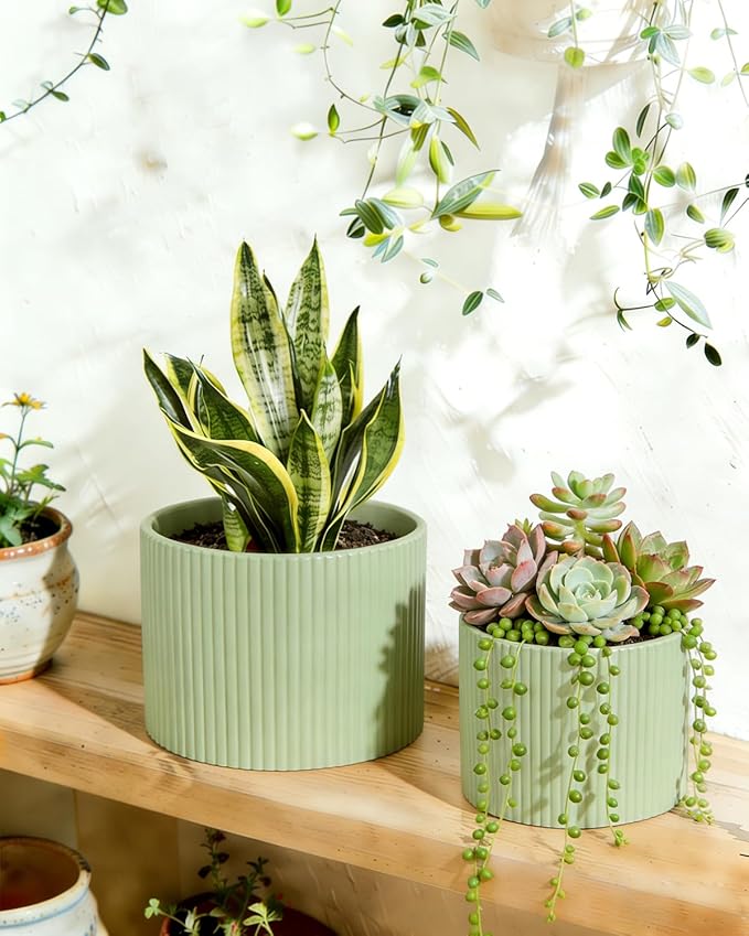 Ceramic Plant Pots, 8.1 + 6 Inch Planters for Indoor Plants, Modern Flower Pot for Plant with Drainage, Medium Cylinder Flower Pots for Indoor/Outdoor, House Plants, Matte Green