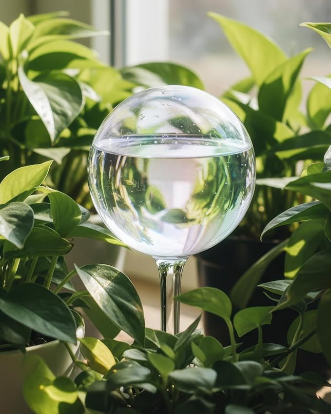 2 Pack Self Watering Globes for Plant, Iridescent Glass Rainbow Watering Bulbs, Automatic Plant Waterer for Indoor & Outdoor Potted Plants，Vacation Plant Watering Devices System，Plant Watering Devices