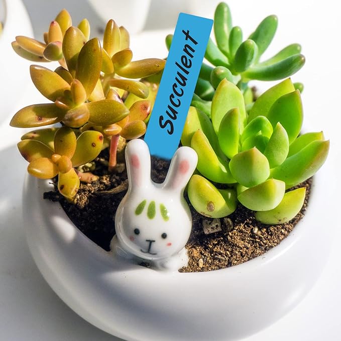 KINGLAKE 1000 Pcs 4 Inch Plant Tags Multicolor Garden Nursery Labels Plastic Pot Labels,Box of 1000