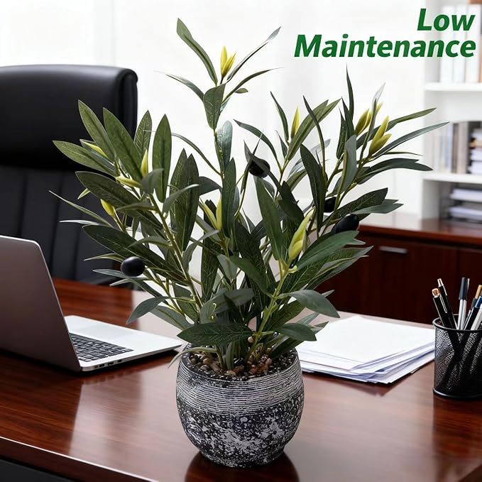 Indoor Faux Olive Plant 12 inch Artificial Silk Leaves in Elegant Planter Perfect Fake Olive Branches with Realistic Trunk and Lifelike Fruits Tabletop Greenery Decor for Home Office