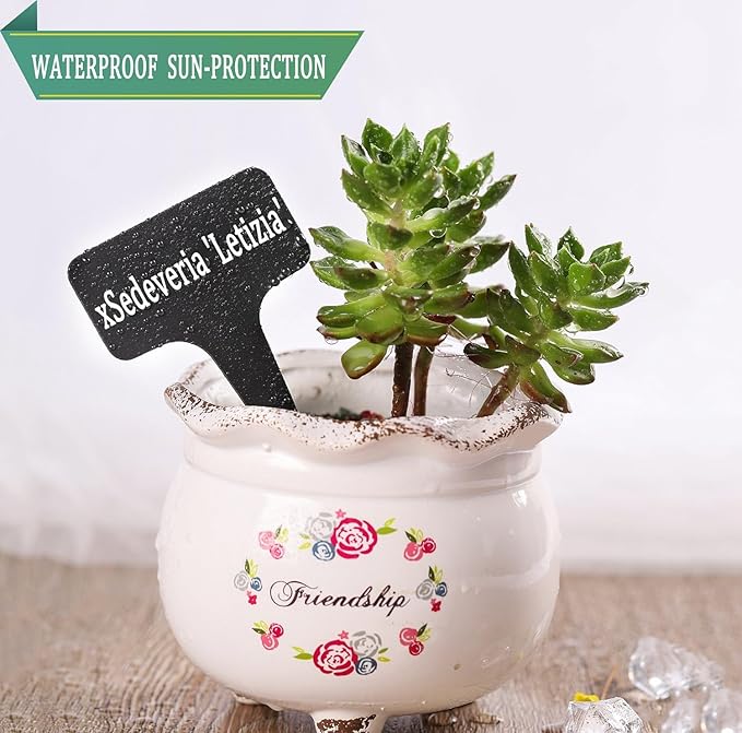 Whaline 100 Pcs Plastic Plant Labels Black T-Type Garden Stake Tags Waterproof Plant Markers Reusable Plants Signs for Outdoor Indoor Nursery Potted Plants Seed with A White Marker Pen (6 x 10 cm)