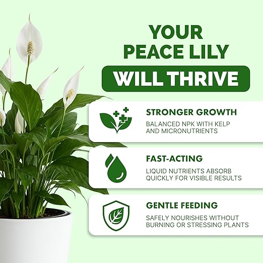 Peace Lily Fertilizer – Liquid Plant Food for More Blooms, Deep Green Leaves & Healthy Root Development, 8 oz