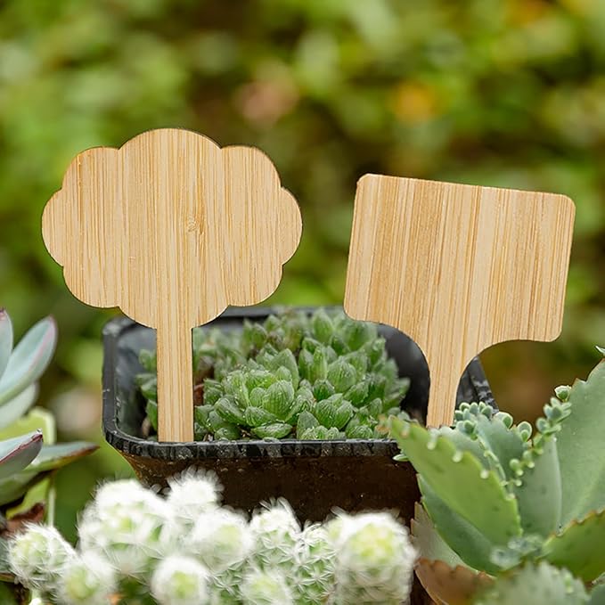 Elsjoy 90 Pack Bamboo Plant Labels, 9 Styles Cute Plant Tags Garden Markers, Wooden Garden Labels for Seeds, Herbs, Vegetables, Gifts