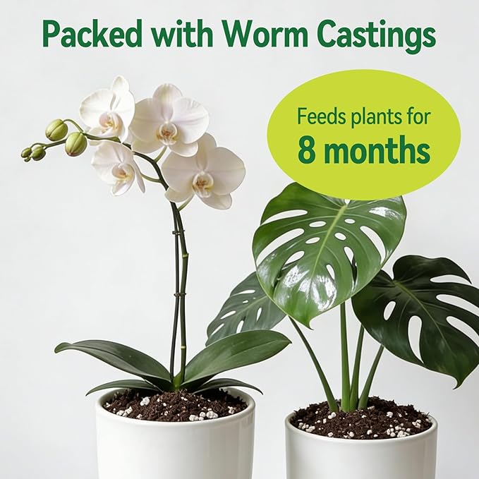 Zeedix Potting Soil Mix for Indoor Houseplant, Include Perlite, Compost, Peat Moss, Coco Coir and Vermiculite, Well Draining Potting Mix, Promote Healthy Root Development and Faster Plant Growth, 3qt