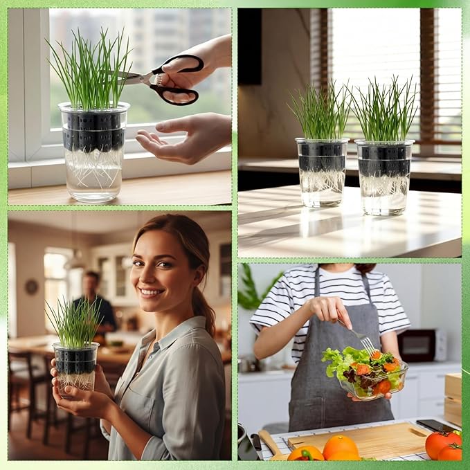 2 Pack Green Onion Planter Scallion Grower Seed Sprouting Kit Compatible with Regular Mouth Mason Jar for Windowsill Garden, Hydroponics, and Propagation Hydroponics Enthusiasts (Black)