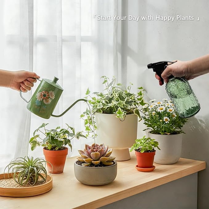 OFFIDIX Watering Can for Indoor Plants,Long Spout Metal Stainless Steel 21 oz Small Indoor Plant Watering Can with 14 oz Glass Plant Mister Spray Bottle for Inside
