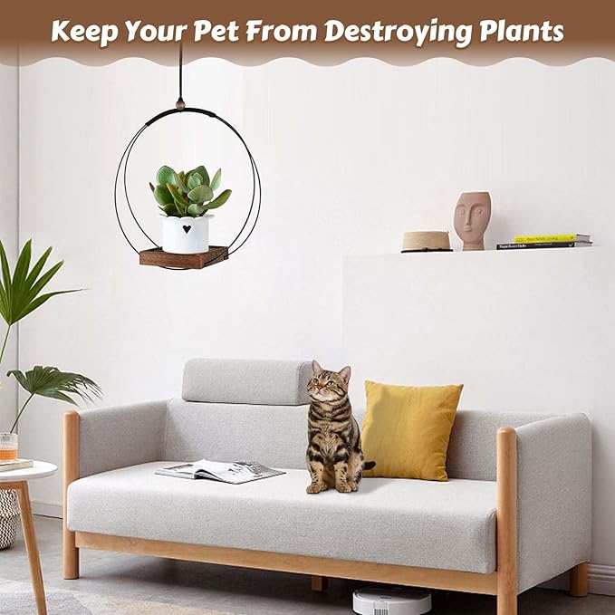 COM4SPORT 2 Pack Hanging Planters for Indoor Plants, Black Metal Plant Hanger with Wood Base Boho Hanging Plant Holder for Window,Room,Balcony Decor