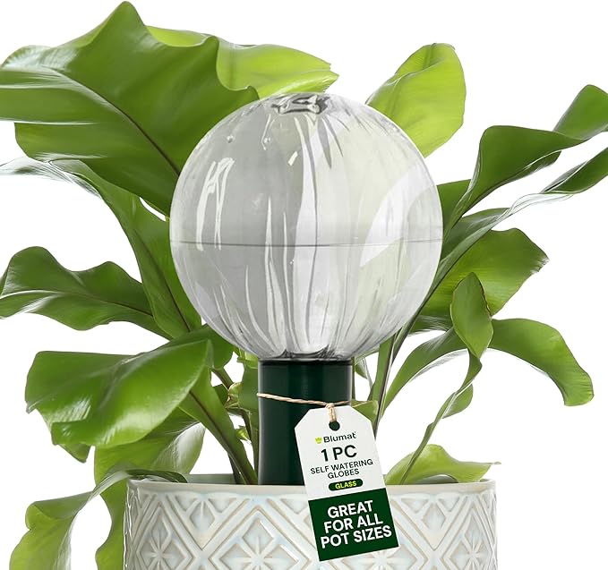 Blumat Glass Plant Self Watering Globes,Automatic Houseplant Drip Irrigation for Indoor Plants, Hanging Plants, Houseplants, Plant Garden Accessories,Vacation Plant Savers,Large Globe Small Adapter