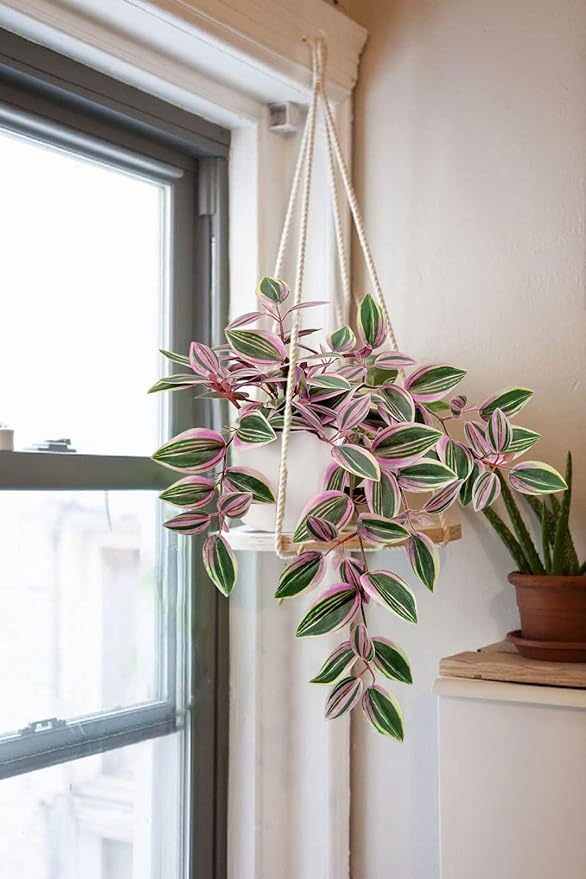 GnFlus Fake Hanging Plants in Ceramic Pot, 20 Inch Artificial Pink Ivy Leaves Plant Faux Greenery Vine Plants for Home Bedroom Office Table Shef Desk Indoor Outdoor Decor Pink