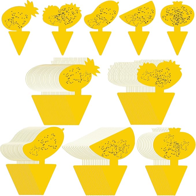 Qualirey 200 Sheets Fruit Fly Sticky Traps for Fruit Fly Gnat Trap for House Indoors Sticky Traps Catcher for Gnats Fungus Gnats Mosquito Catcher for Kitchen Outdoor Plants (Fresh Style, Yellow)