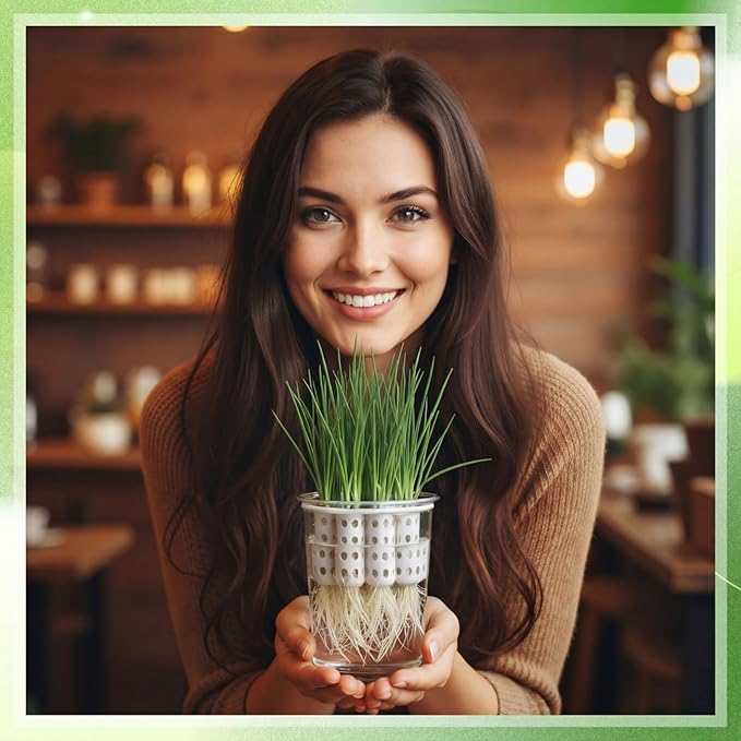 2 Pack Green Onion Planter Scallion Grower Seed Sprouting Kit Compatible with Regular Mouth Mason Jar for Windowsill Garden, Hydroponics, and Propagation Hydroponics Enthusiasts (White)