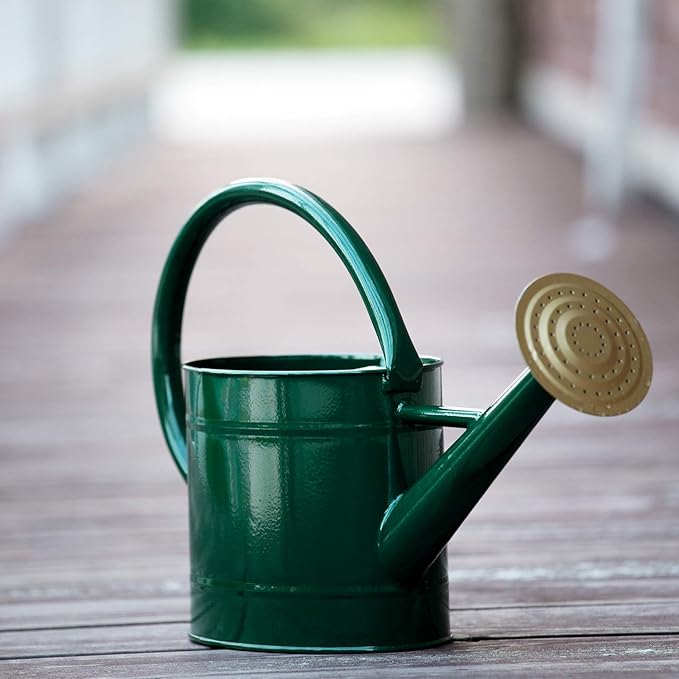 1.3 Gal Watering Can, Metal Watering Can with Removable Spout, Galvanized Water Can, Nice Plant Water Can for Indoor and Outdoor Use