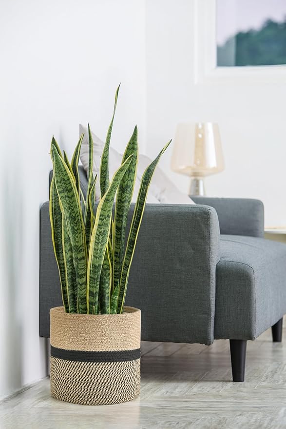Dahey Jute Rope Plant Basket Modern Woven Storage Basket for 10.5" Indoor Planter, Decorative Flower Pots Cover Laundry Bin with Handle Rustic Home Decor, Black