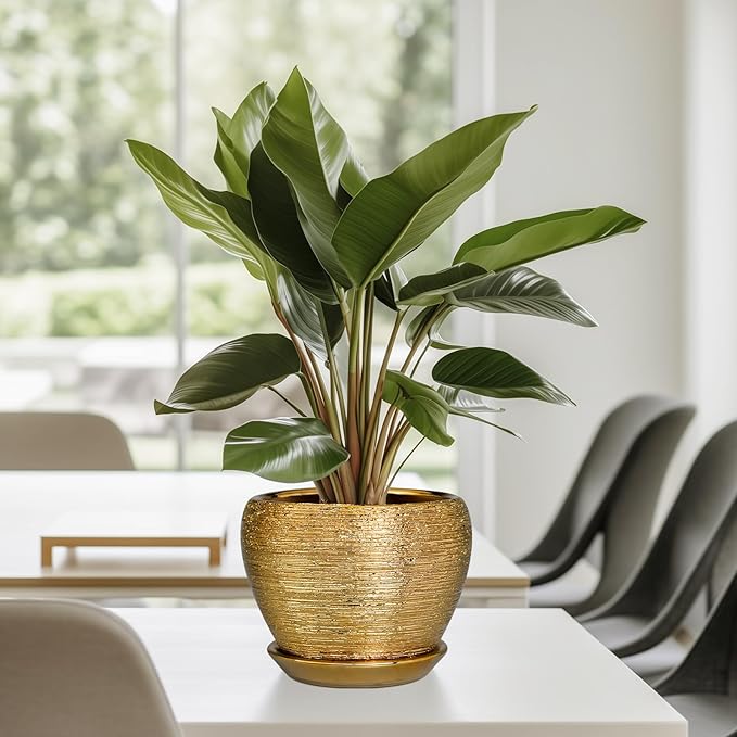 Ceramicfor Indoor Plant Pot 6 Inch - Ceramic Pot for Plants Outdoor Planter with Drainage Hole and Saucer Round Decorative Planter Modern Flower Pot for Home Decor Gold