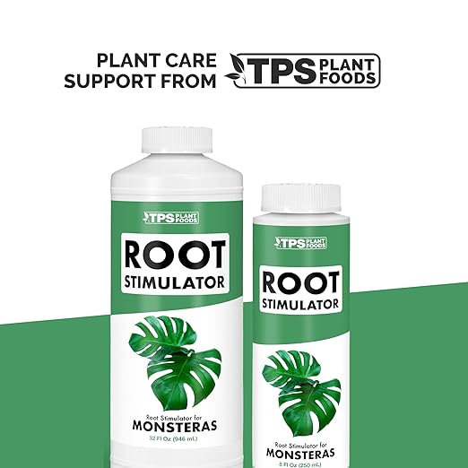 Root Stimulator for Monstera – Liquid Root Supplement with Kelp & Probiotics for Stronger Roots & Bigger Leaves, 8 oz