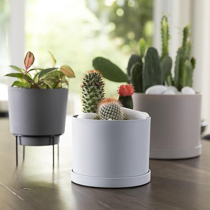 Bloem Mathers Planter w/Saucer Tray 8" Misty Blue (Pack of 3)