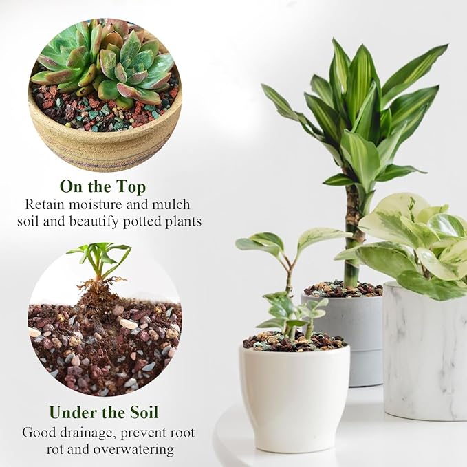 FANTIAN 5 lbs Succulent Cactus Soil Potting Mix,1/4 inch Pumice Pebbles Mix Horticultural Lava Rock for Indoor Plants, Bonsai, Orchid