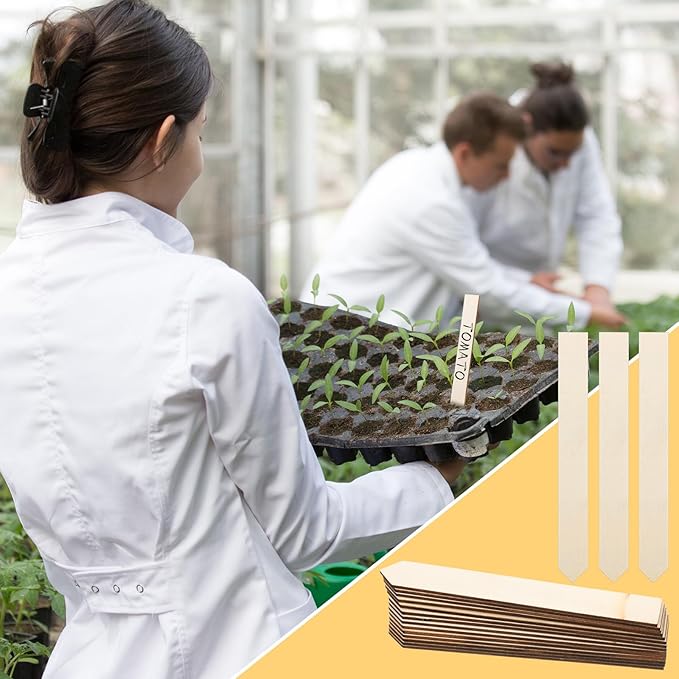 Beeveer 200 Pcs Wooden Plant Labels Bulk 6 Inch Plant Tags 2 pcs Waterproof Garden Markers Plant Markers Garden Labels Sticks Wooden Plant Sign Stakes Sticks for Seed Pot Herbs Flowers Vegetables