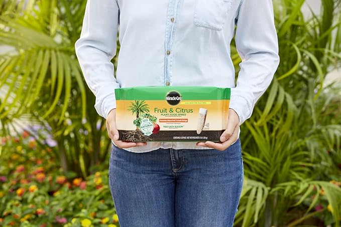 Miracle-Gro Fruit & Citrus Plant Food Spikes - 10-15-15 NPK Easy-to-Use Nutrition for Fruit and Citrus Trees, Plant Fertilizer, 12 Spikes, 3 lb. (2-Pack)