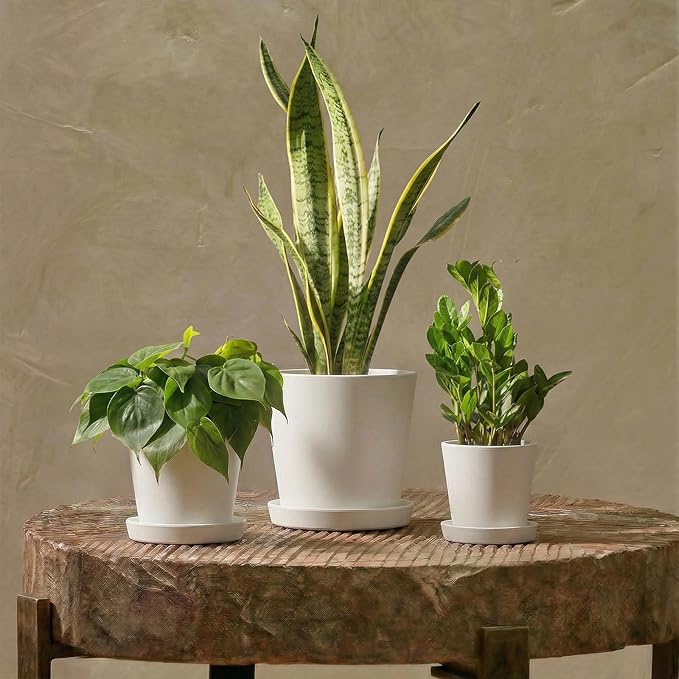 Bamworld 3 Pack Plastic Plant Pots with Drainage Holes and Saucers 6/7/8 Inch 5mm Thick Modern Decorative Flower Pots for Indoor Outdoor Plants White