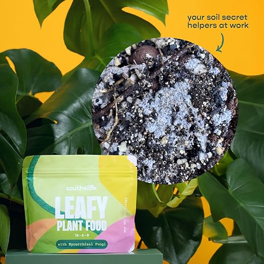 Leafy Plant Food with Mycorrhizal Fungi - Use Year-Round - Makes 200 Liters Gentle Houseplant Fertilizer for Indoor Potted Plants