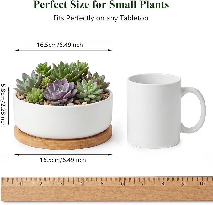 ZOUTOG Succulent Pots,6 Inch Succulent Planters with Drainage and Tray,White Ceramic Planters for Indoor Plants,Round Shallow Flower Plant Pots,Pack of 6