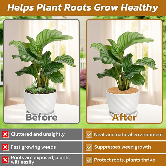 Legigo 10pcs Coconut Fiber Mulch Ring Tree Plant Protector Mat, 11.8 Inch Natural Coco Coir Tree Mulch Ring Plant Pot Soil Cover, Tree Rings Disc Plant Cover for Indoor Outdoor Plants, Landscaping