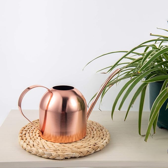 IMEEA Indoor Watering Can for House Plants 33oz/1L Stainless Steel Watering Can with Long Spout for Succulents, Bonsai
