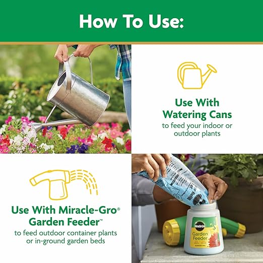 Miracle-Gro Water Soluble All Purpose Plant Food - Fertilizer For All Indoor or Outdoor Plants including Roses, Flowers, Vegetables, Houseplants, Trees, and Shrubs, 10 lbs.