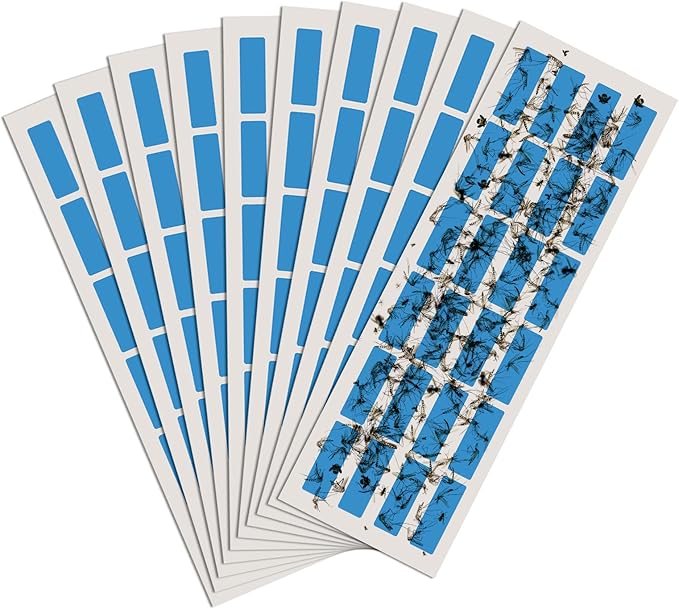 UV Fly Light Trap Indoor for Home Gnat Traps for House, Wall Sconce Fly Light Bug Catcher for Kitchen House & Restaurant Fruit Flies Garage & Warehouse (10 PCS Sticky Boards)