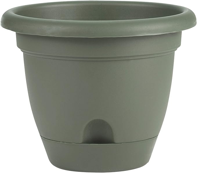 Bloem 010034 LP0842 Lucca Planter, Living Green, 8-Inch, 8"