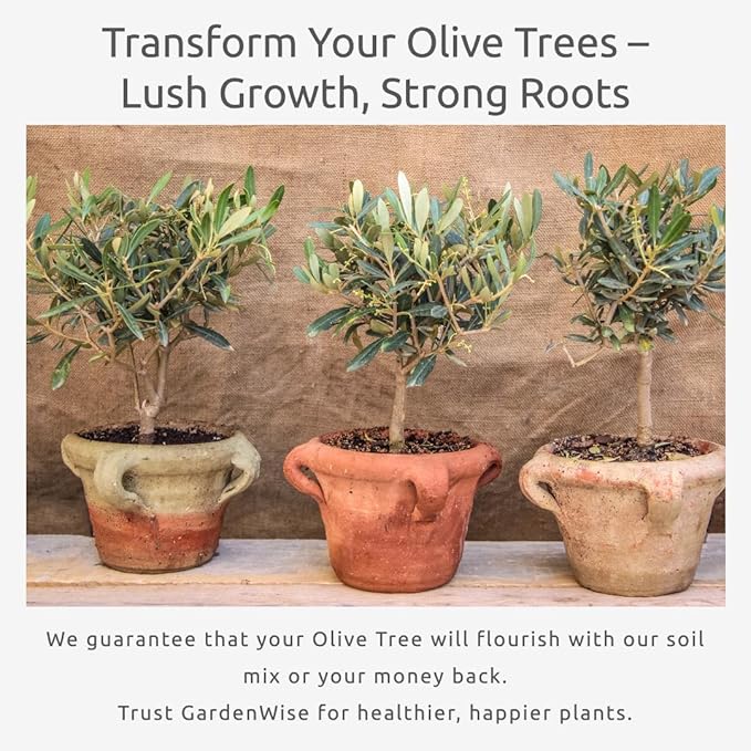 GARDENWISE Organic Olive Tree Potting Mix – Fast-Draining, Nutrient-Rich Soil for Indoor & Outdoor Olive Trees – Mediterranean Plant Care – Long-Lasting Formula (4 QUARTS)