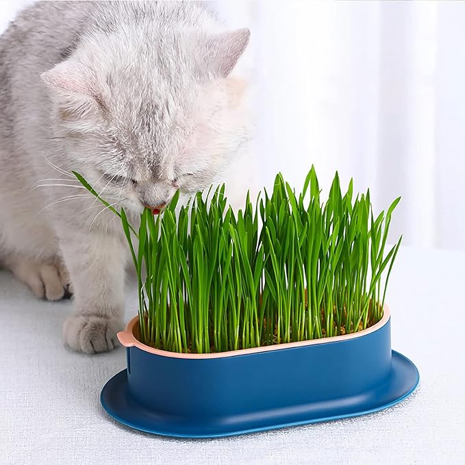 2Pcs Cat Grass Planter (No Seeds Included) Wheatgrass Planting Trays Hydroponic Cat Grass Growing Kits for Indoor Cats Soilless Organic Nursery Box Pet Grass Pot (E)