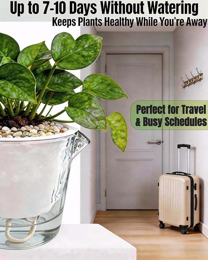 3-Pack Clear Self Watering Plant Pots, 5 Inch Clear Flower Pots with Drainage Holes, Tray and Rope, Plastic Self Watering Planters for Indoor Outdoor Garden Plants, African Violet, Herbs