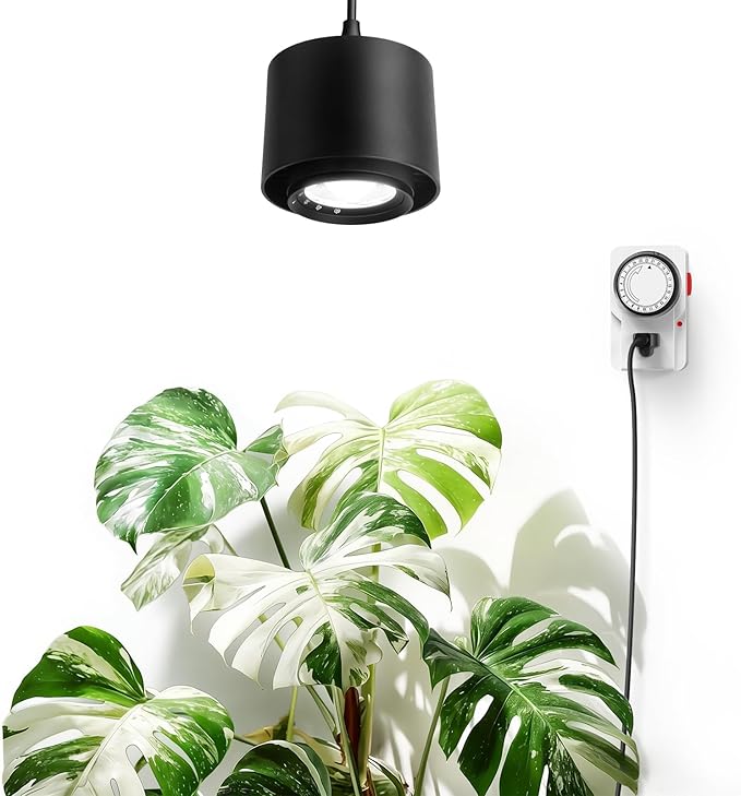 Barrina TR40 Hanging Grow Lights for Indoor Plants, 40W 5000K Full Spectrum, Adjustable Beam Angle (15°-60°), High PPFD, Spotlight Grow Light with Timer for Indoor Growing, Large Tall Plant, Flowers