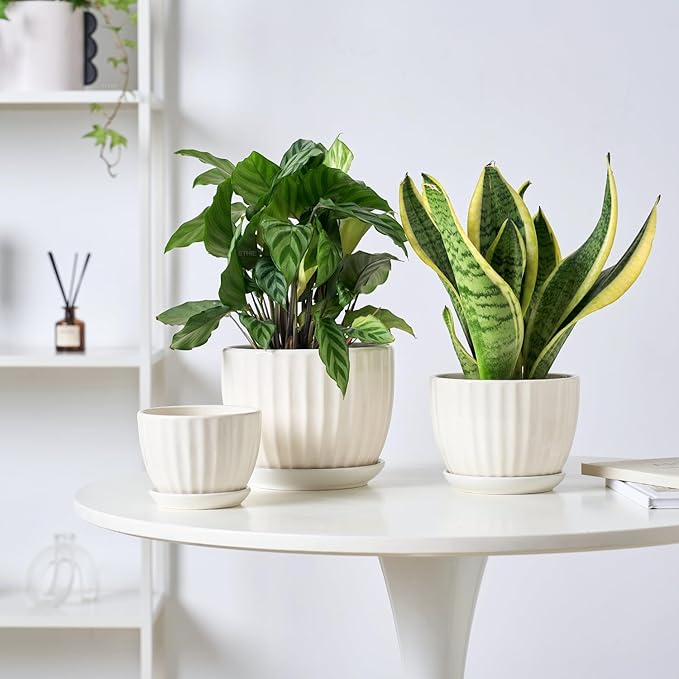 STHIE 4/5/6 Inches Ceramic Plant Pots with Drainage Holes and Saucers, Round Flower Pots for Indoor Plant, Modern Flower Planters Set of 3 (White-Big Size)