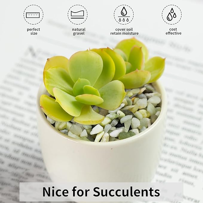 FANTIAN 5 lbs Jade Gravel Small Pebbles for Indoor Plants, Decorative Rocks for Plants Succulents Cactus Bamboo Vases Filler and Potted Drainage Gravel