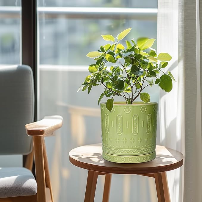 Eightpot 8 Inch Plant Pots - Ceramic Planter for Indoor Plants Outdoor, Round Ceramic Flower Pots with Drainage Hole and Saucer, Boho Decorative Planter, Home Bedroom Decor, Birthday Gifts, Green