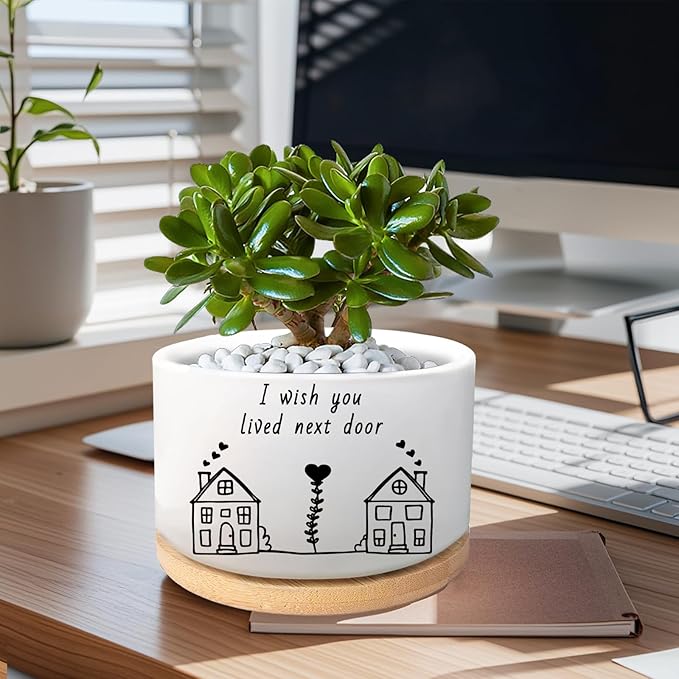 Friend Gifts for Women, I Wish You Lived Next Door, Cute Succulent Plant Pot, Flower Planter, Friendship Long Distance Relationship Gifts for Women Best Friend (Plants Not Included)