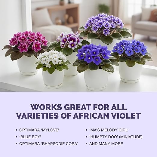 African Violet Fertilizer – Liquid Plant Food for More Blooms, Rich Green Leaves & Healthy Root Development, 32 oz
