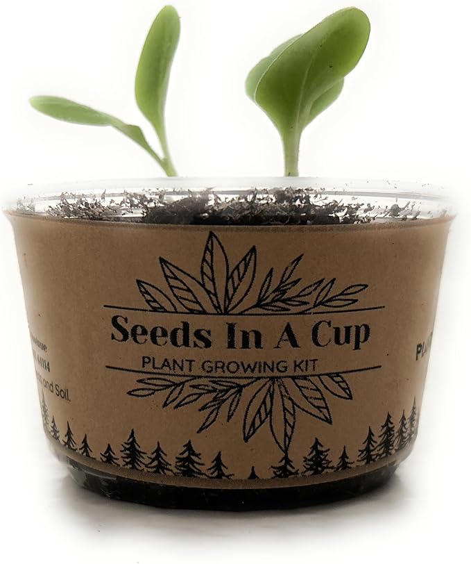 Herb Growing Kit | Indoor Herb Garden Starter | Premium Seeds and Soil | 3 Pack of Herbs | Multiple Combinations Available | (Salad Trio: Arugula Spinach Radish)