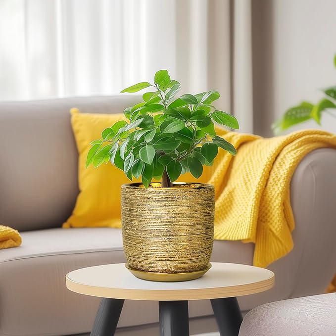 Succulent Pot 5 Inch - Ceramic Plant Pot for Indoor Flowers, Decorative Round Indoor Planter with Drainage Hole and Saucer, Plant Lover Gifts, Patio Office Home Room Decor, Gold