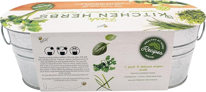 BUZZY Seeds 2-Pack Windowsill Grow Kits, Strawberry and Organic Herb Gardening Set with Basil, Cilantro, Chives, Non-GMO Seeds, Growing Medium and Planters, Housewarming Gift Idea