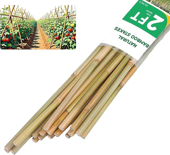 Natural Bamboo Plant Stakes (2ft-50pcs)