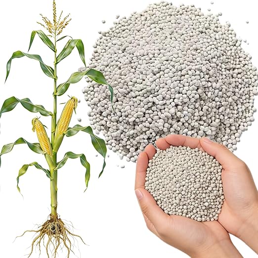All Purpose Fertilizer, 10-10-10 Indoor Plant Fertilizer, Plant Food for Houseplants, Boost Stem & Leaf Growth, Improves Root Health, Promote Large Flower Blooming & Fruit Growth（12LB）