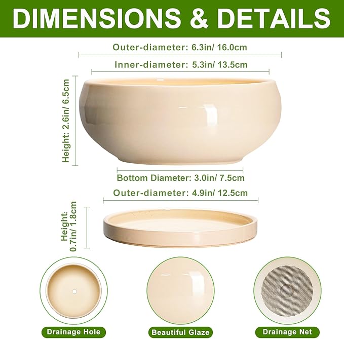 Small Bonsai Pots - 6 Inch Ceramic Succulent Planters for Indoor Plant Outdoor, Shallow Planter with Drainage Hole and Saucer, Round Succulent Pots, Kitchen Decor, Gifts for Women Men, Beige