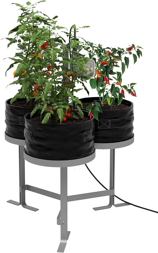 Harmony Garden Herbs and Vegetables Grow kit - Black