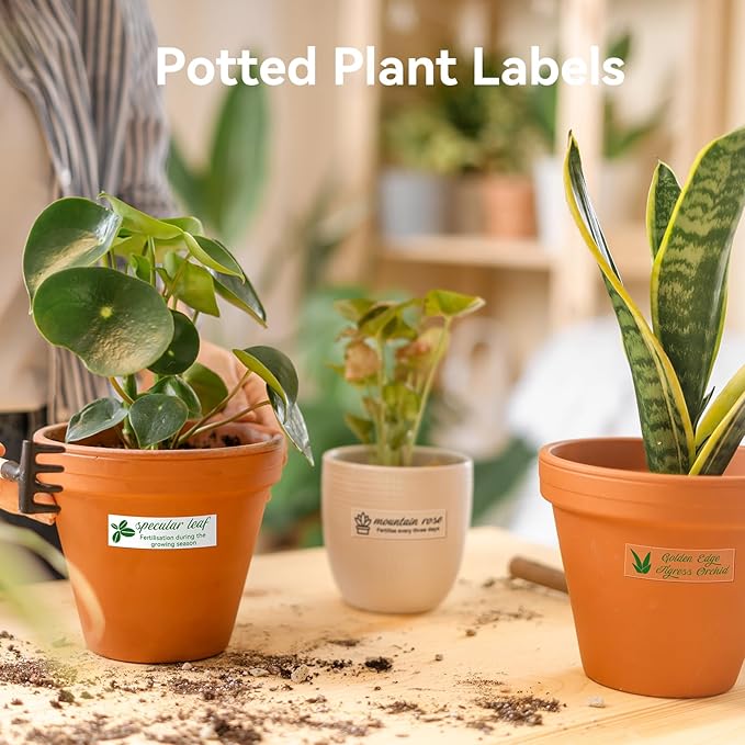 NIIMBOT Plant Labels 13×45mm (0.51'' x 1.77''), for N1(B18) Label Maker, Suitable for Outdoor Indoor Plant Potted Tag, PET Material, Long Storage, Waterproof and High-Temperature Resistance, Clear